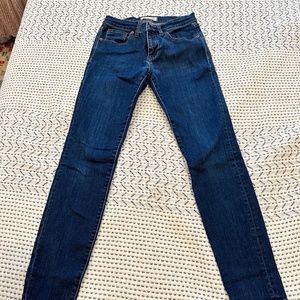 Madewell Skinny Jeans Size 27